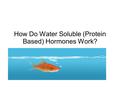 How Do Water Soluble (Protein Based) Hormones Work?