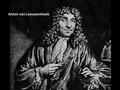 Anton van Leeuwenhoek. Anton van Leeuwenhoek (1600’S) -created 1 st microscope. He noticed that if he placed 2 magnifying lenses at proper distances from.