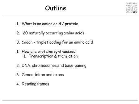 Outline 1.What is an amino acid / protein 2. 20 naturally occurring amino acids 3.Codon – triplet coding for an amino acid 1.How are proteins synthesized.