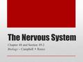 The Nervous System Chapter 48 and Section 49.2 Biology – Campbell Reece.