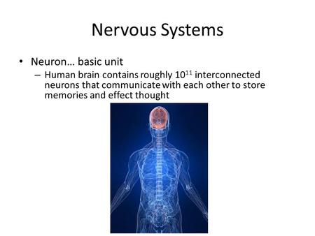 Nervous Systems Neuron… basic unit – Human brain contains roughly 10 11 interconnected neurons that communicate with each other to store memories and effect.