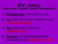 RFLP Analysis Restriction Fragment Length Polymorphism 1.Extract/Isolate DNA from the cell restriction enzymes 2.Cut DNA into smaller fragments using restriction.