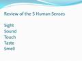 Review of the 5 Human Senses Sight Sound Touch Taste Smell.