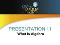 PRESENTATION 11 What Is Algebra. ALGEBRAIC EXPRESSIONS An algebraic expression is a word statement put into mathematical form by using variables, arithmetic.