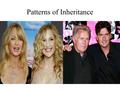 Patterns of Inheritance. Heredity and the Environment Organisms are products of their heredity and of their surroundings. Ex: Your height and built are.