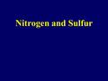Nitrogen and Sulfur. 18 Essential Elements Macronutrients: Carbon (C)Nitrogen (N) Calcium (Ca) Hydrogen (H)Phosphorus (P) Magnesium (Mg) Oxygen (O)Potassium.