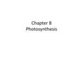 Chapter 8 Photosynthesis. 8-1 Energy and Life Energy is the ability to do work. Living things depend on energy.