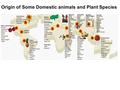 Origin of Some Domestic animals and Plant Species.