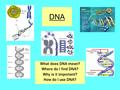 DNA What does DNA mean? Where do I find DNA? Why is it important? How do I use DNA?