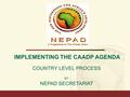 IMPLEMENTING THE CAADP AGENDA BY NEPAD SECRETARIAT COUNTRY LEVEL PROCESS.