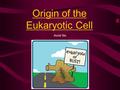 Origin of the Eukaryotic Cell Accel Bio From where, the first cell? The scene: early earth, 3 billion years ago. Intense lightning, volcanic activity,