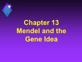 Chapter 13 Mendel and the Gene Idea. Inheritance u The passing of traits from parents to offspring. u Humans have known about inheritance for thousands.
