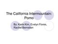 The California Intermountain: Pomo By: Karis Kim, Evelyn Flores, Rachel Bernstien.