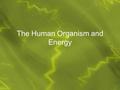 The Human Organism and Energy. Write the white, just read the blue.