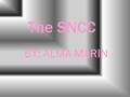 The SNCC BY: ALMA MARIN Introduction The Student Non-Violent Coordinating Committee or the SNCC was organized to help coordinate sit- ins, freedom rides,