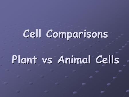 Cell Comparisons Plant vs Animal Cells. Prokaryotic Cells Bacteria and Archaebacteria ONLY NO Nucleus! DNA is free floating NO organelles! All chemical.