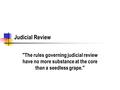 Judicial Review The rules governing judicial review have no more substance at the core than a seedless grape.