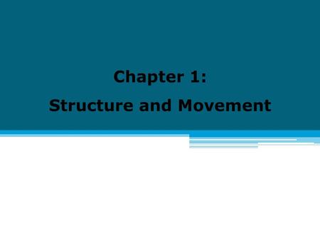 Chapter 1: Structure and Movement. 1.1 The Skeletal System I.Living Bones A. Functions of Your Skeletal System 1. Skeletal system: all the bones of your.