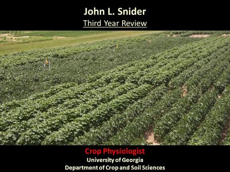 John L. Snider Third Year Review Crop Physiologist University of Georgia Department of Crop and Soil Sciences.