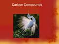 Carbon Compounds. The Element Carbon   Carbon is the most abundant element found in living things.   Carbon has 4 valence electrons which enable it.