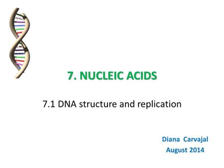7. NUCLEIC ACIDS 7. NUCLEIC ACIDS 7.1 DNA structure and replication Diana Carvajal August 2014.