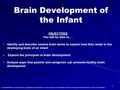 Brain Development of the Infant 1 Copyright © Notice: The materials are copyrighted © and trademarked ™ as the property of The Curriculum Center for Family.