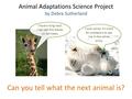 Animal Adaptations Science Project by Debra Sutherland I have a long neck. I can eat the leaves on tall trees. I look white. It’s hard for predators to.