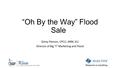 “Oh By the Way” Flood Sale Ginny Pierson, CPCU, ARM, AU Director of Big “I” Marketing and Flood.