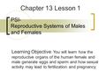 PSI- Reproductive Systems of Males and Females Chapter 13 Lesson 1 Learning Objective : You will learn how the reproductive organs of the human female.