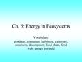 Ch. 6: Energy in Ecosystems Vocabulary: producer, consumer, herbivore, carnivore, omnivore, decomposer, food chain, food web, energy pyramid.