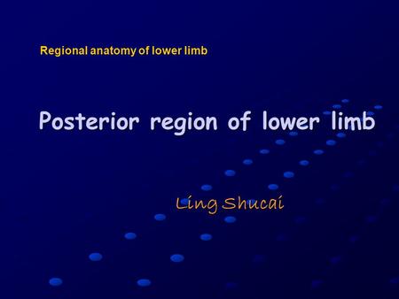 Ling Shucai Regional anatomy of lower limb Posterior region of lower limb.