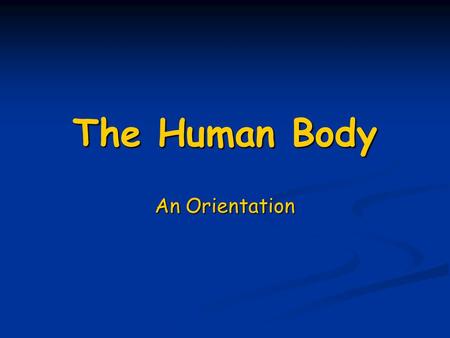 The Human Body An Orientation. Overview of Anatomy and Physiology Anatomy – the study of the structure of body parts and their relationships to one another.