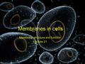 Membranes in cells Membrane structure and function Lecture 21.