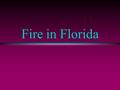 Fire in Florida. Themes l The Natural Role of Fire in Florida l Two Kinds of Fire in Florida l Prescribed Fire l Protecting Florida Homes from Fire.