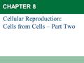 CHAPTER 8 Cellular Reproduction: Cells from Cells – Part Two.