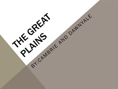 THE GREAT PLAINS BY:CAMBRIE AND DAWNYALE. TRIBE NAMES Sioux Blackfoot Cheyenne Crow Kiowa Comanche.