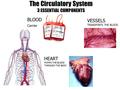 The Circulatory System 3 ESSENTIAL COMPONENTS VESSELS TRANSPORTS THE BLOOD HEART PUMPS THE BLOOD THROUGH THE BODY BLOOD Carrier.