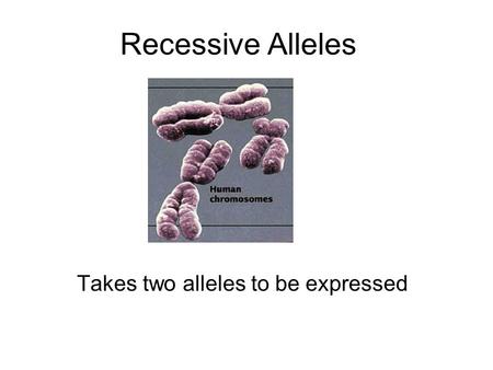 Recessive Alleles Takes two alleles to be expressed.