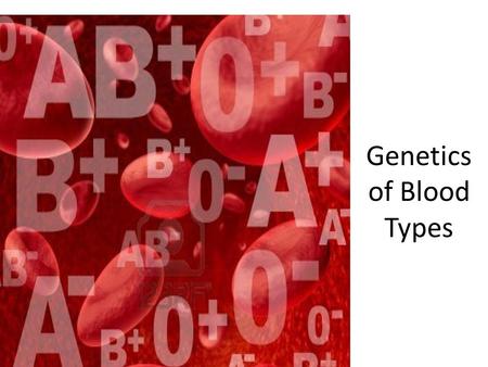 Genetics of Blood Types. Genotypes and Phenotypes Type A, Type B, Type AB and Type O blood are phenotypes. It is not always possible to tell the genotype.