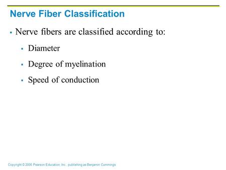 Copyright © 2006 Pearson Education, Inc., publishing as Benjamin Cummings Nerve Fiber Classification  Nerve fibers are classified according to:  Diameter.