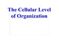 The Cellular Level of Organization. General Cell Structures Plasma membrane or cell membrane - forms the cell’s outer boundary - separates the cell’s.