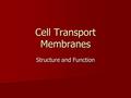Cell Transport Membranes Structure and Function. Membrane Structure Phospholipid Bi-layer Phospholipid Bi-layer Contains Different Types of Proteins Contains.