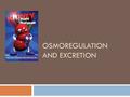 OSMOREGULATION AND EXCRETION. Key Concepts  Osmoregulation balances the uptake and loss of water and solutes  An animal’s nitrogenous wastes reflect.