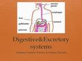 Objective: Student will Identify all of the Digestive & Excretory Systems Functions within the body Aim: What functions does the body use to rid itself.