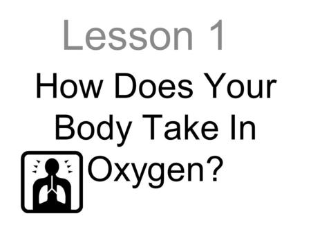How Does Your Body Take In Oxygen? Lesson 1. Respiratory System When you breathe in your respiratory system brings air containing oxygen into your body.