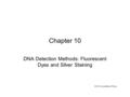 Chapter 10 DNA Detection Methods: Fluorescent Dyes and Silver Staining ©2002 Academic Press.