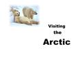 Visiting the Arctic. The Arctic is at the top of the earth The Arctic is at the top of the globe. The North Pole is at the top of the globe too.