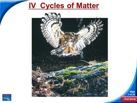 End Show Slide 1 of 33 IV Cycles of Matter. Slide 2 of 33 Copyright Pearson Prentice Hall Cycles of Matter How does matter move among the living and nonliving.