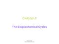Botkin & Keller Environmental Science 5e Chapter 5 The Biogeochemical Cycles.