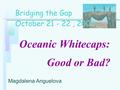 Oceanic Whitecaps: Good or Bad? Magdalena Anguelova Bridging the Gap October 21 - 22, 2000.